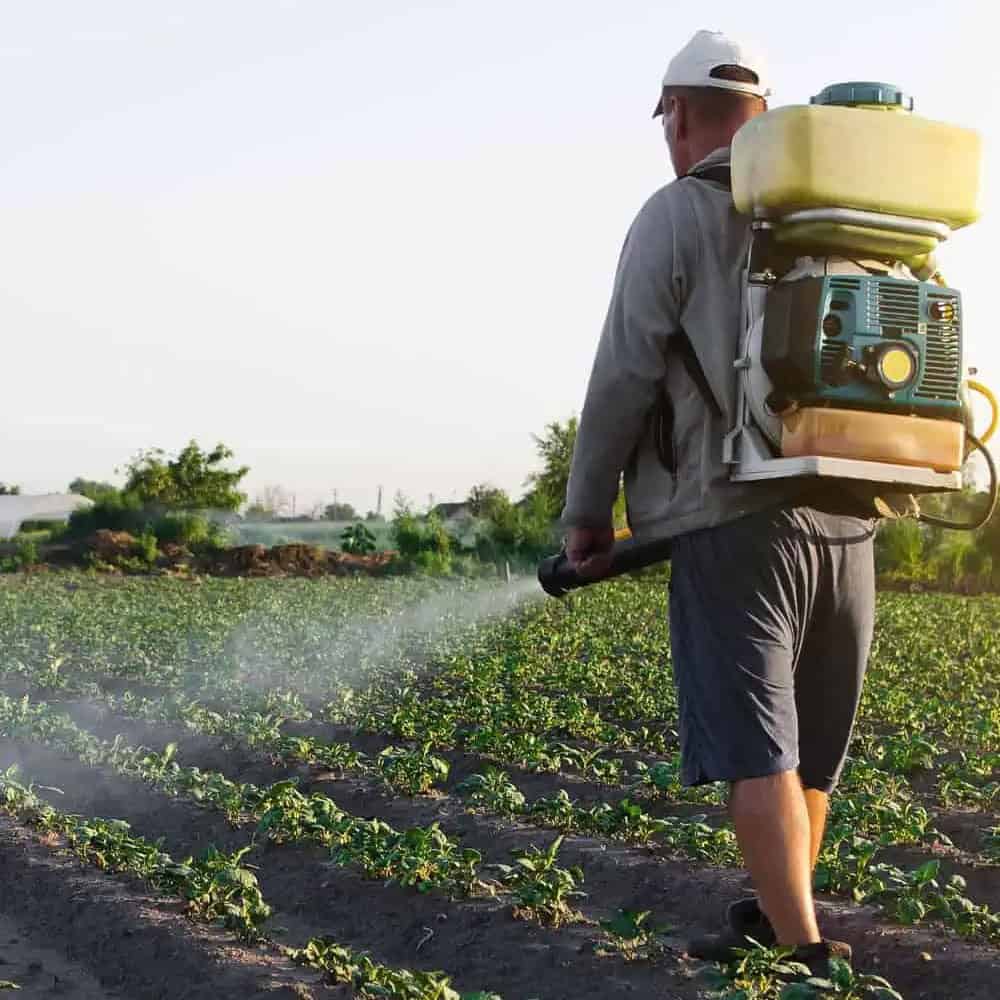 H-2A Agricultural Workers’ Insurance