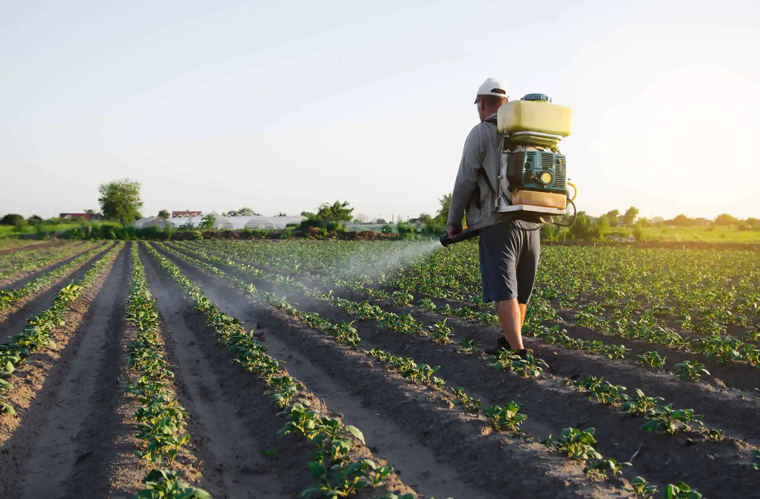 H-2A Agricultural Workers’ Insurance