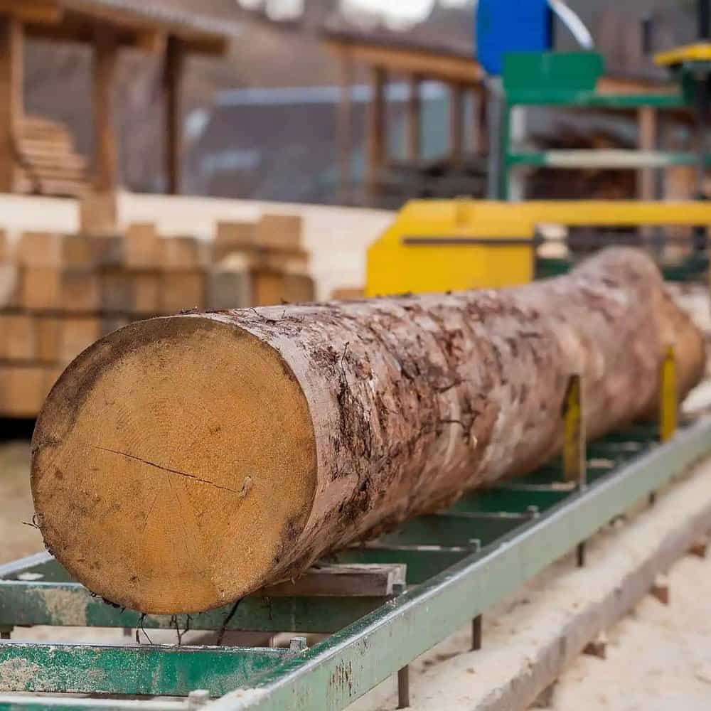 Sawmilling and Logging Insurance