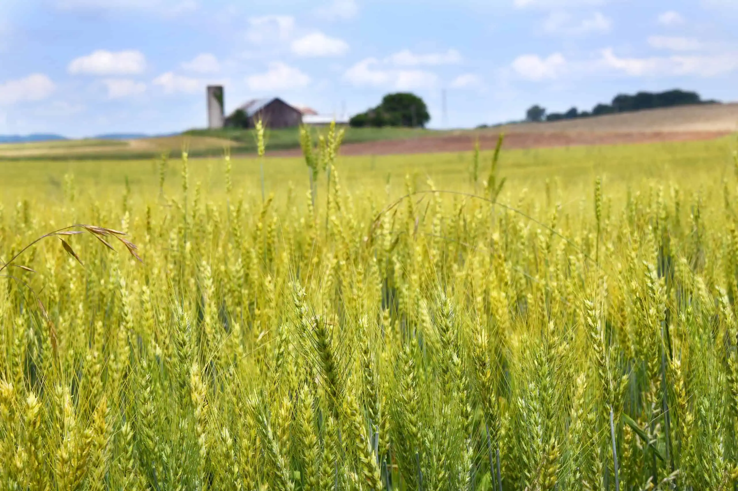 Farm Insurance Tennessee