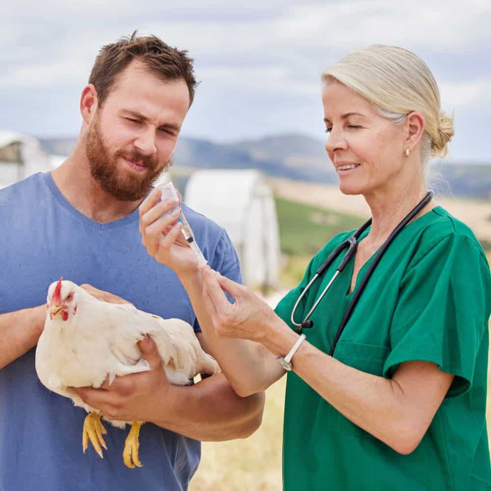 Poultry Operations Insurance Tennessee