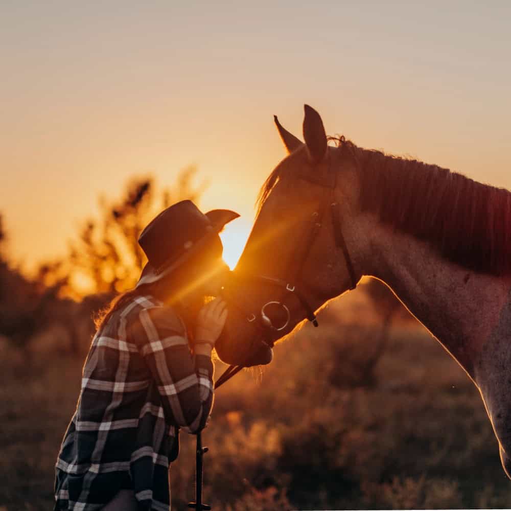 Equine Insurance Tennessee