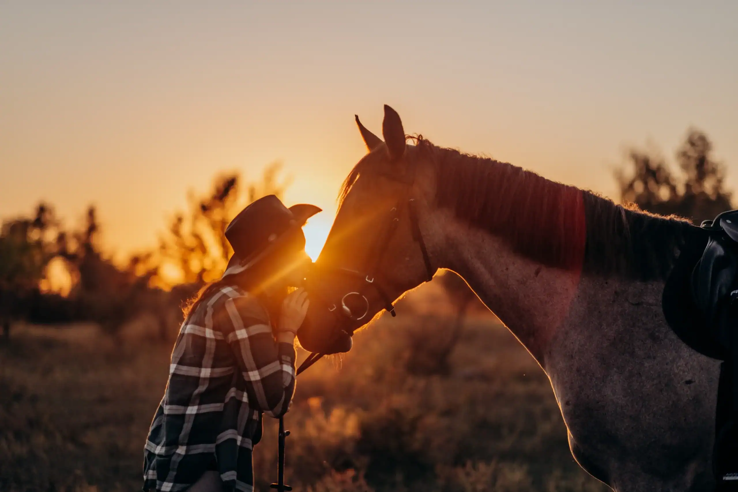 Equine Insurance Tennessee