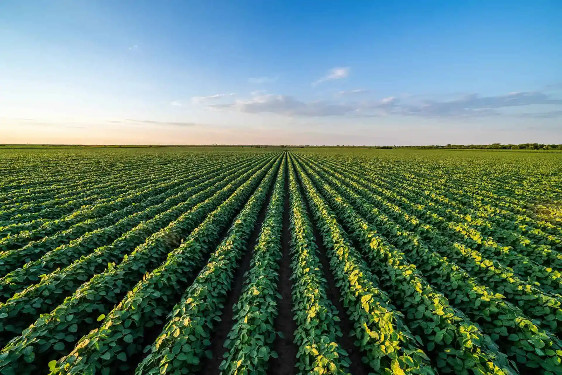 Revenue Protection Tennessee