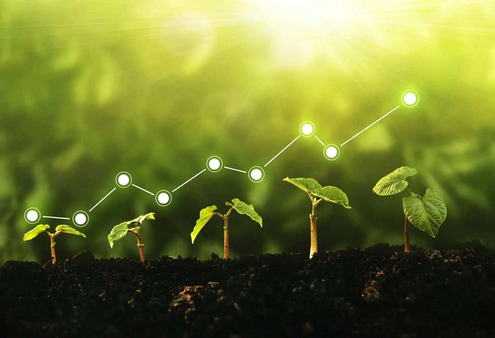 Revenue Protection Tennessee