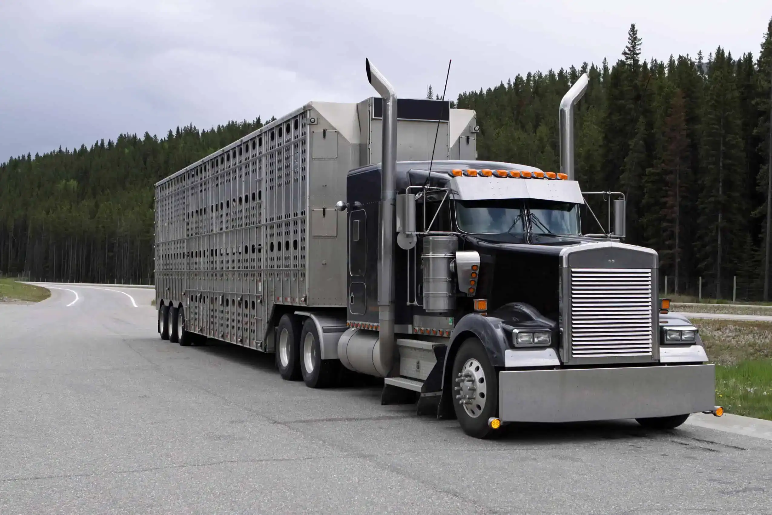 Cattle & Grain Hauler Insurance Tennessee