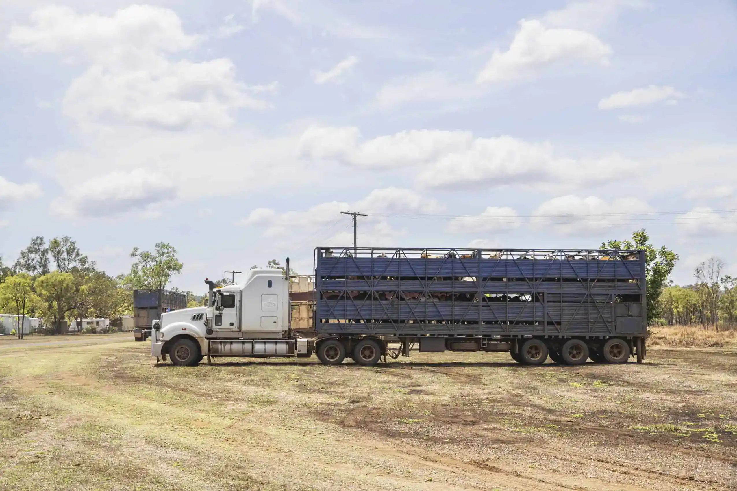 Cattle & Grain Hauler Insurance Tennessee