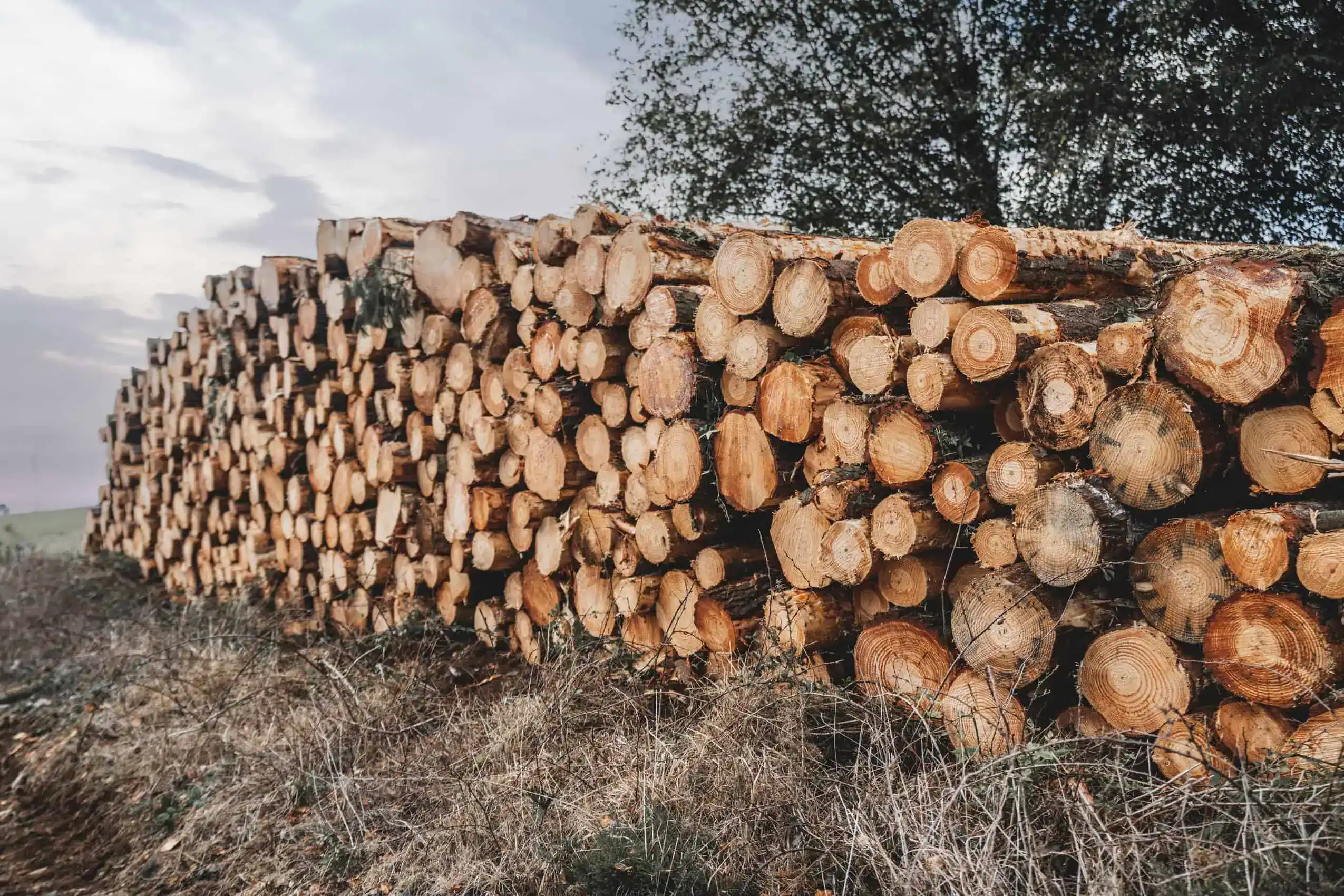Logging Insurance Tennessee