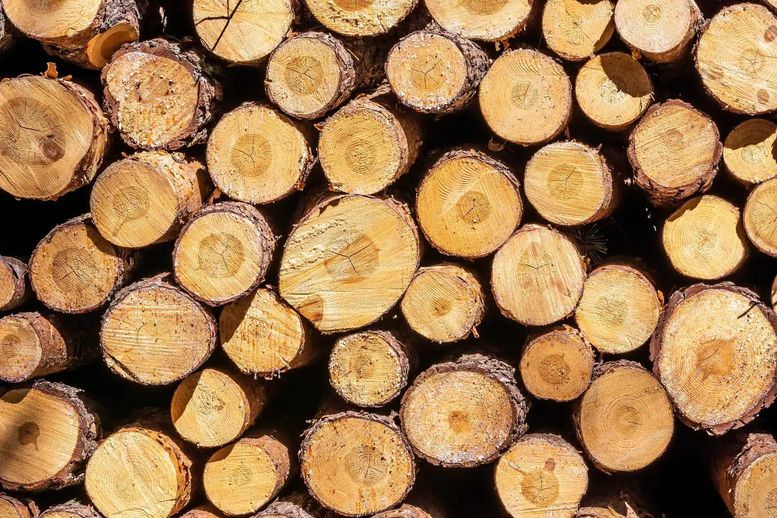 Logging Insurance Tennessee