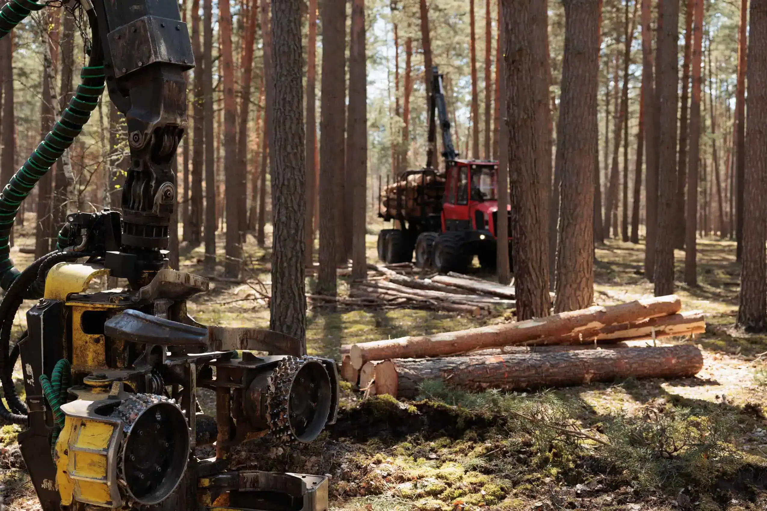 Logging Insurance Tennessee