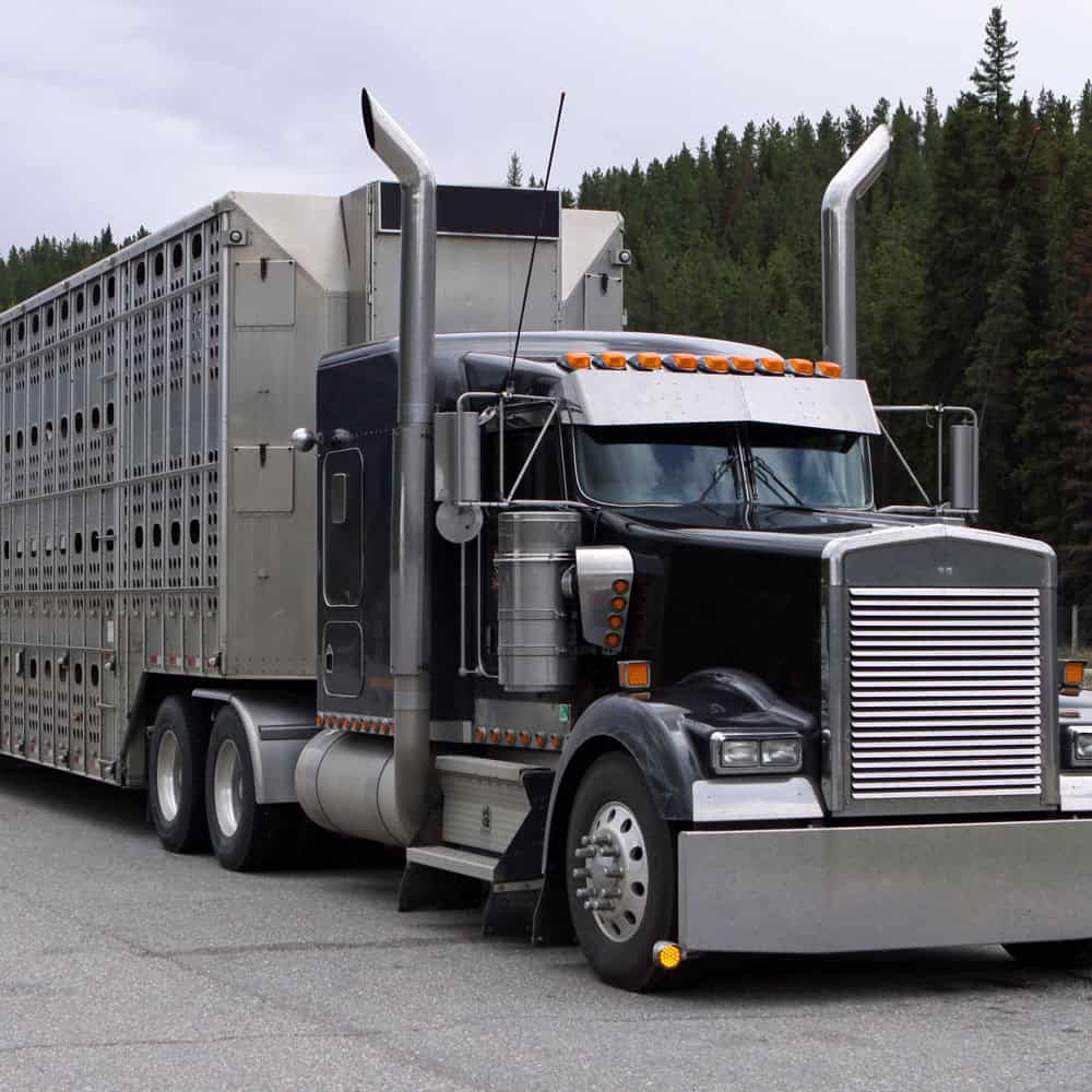 Cattle & Grain Hauler Insurance Tennessee