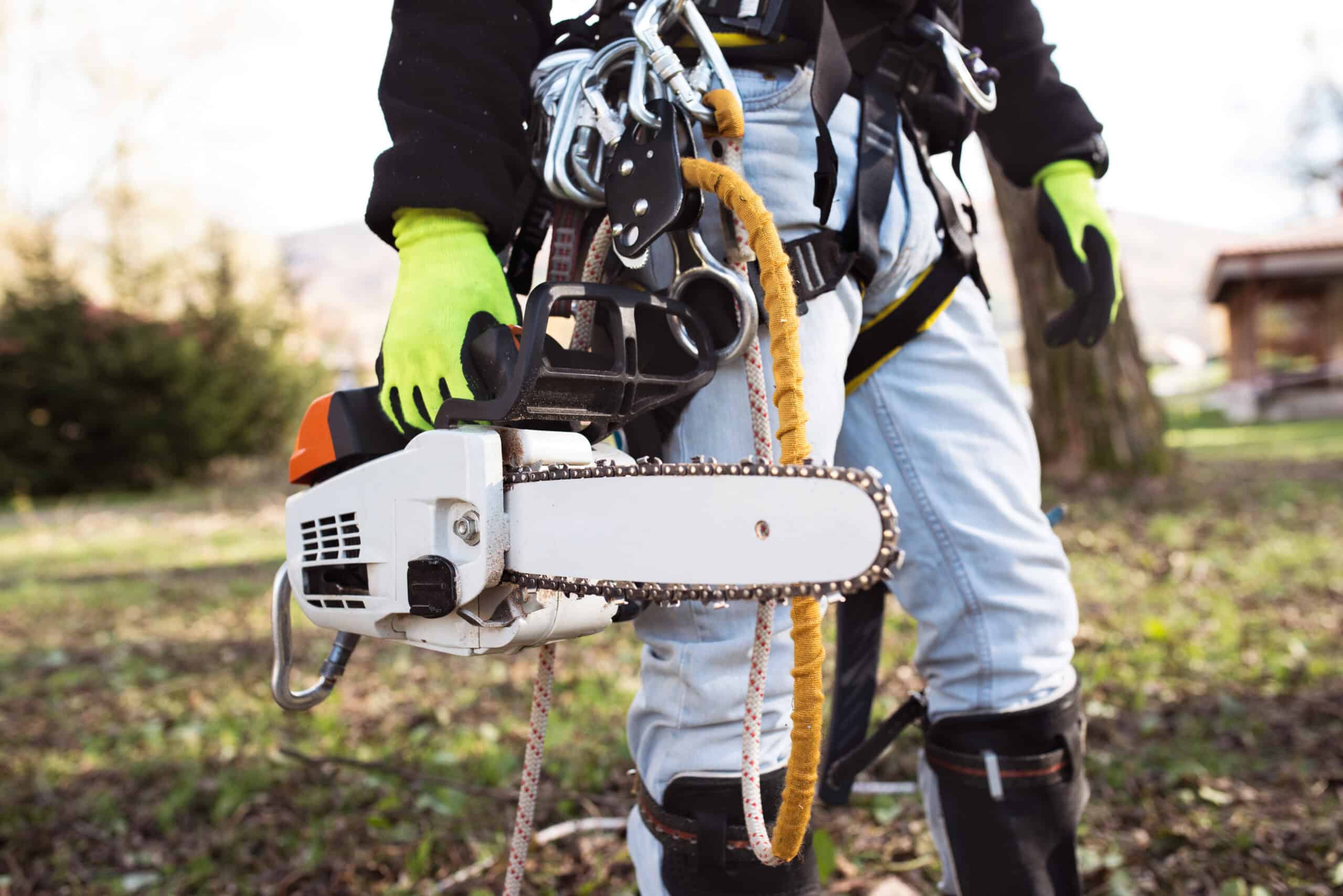 Arborist Insurance Tennessee