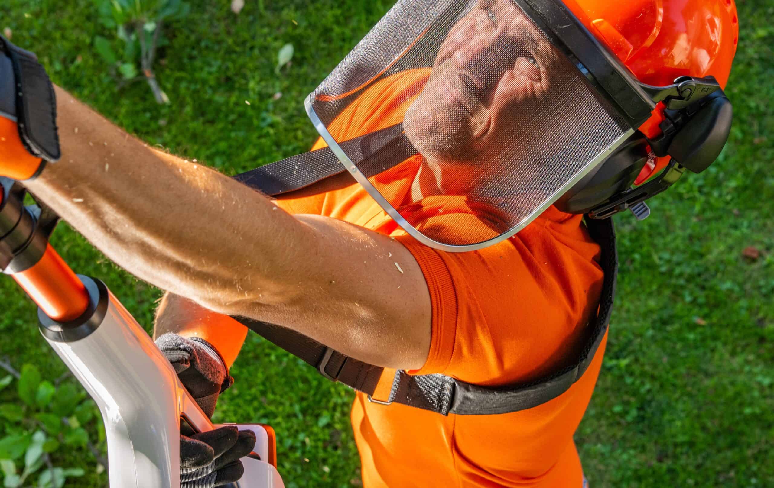 Arborist Insurance Tennessee