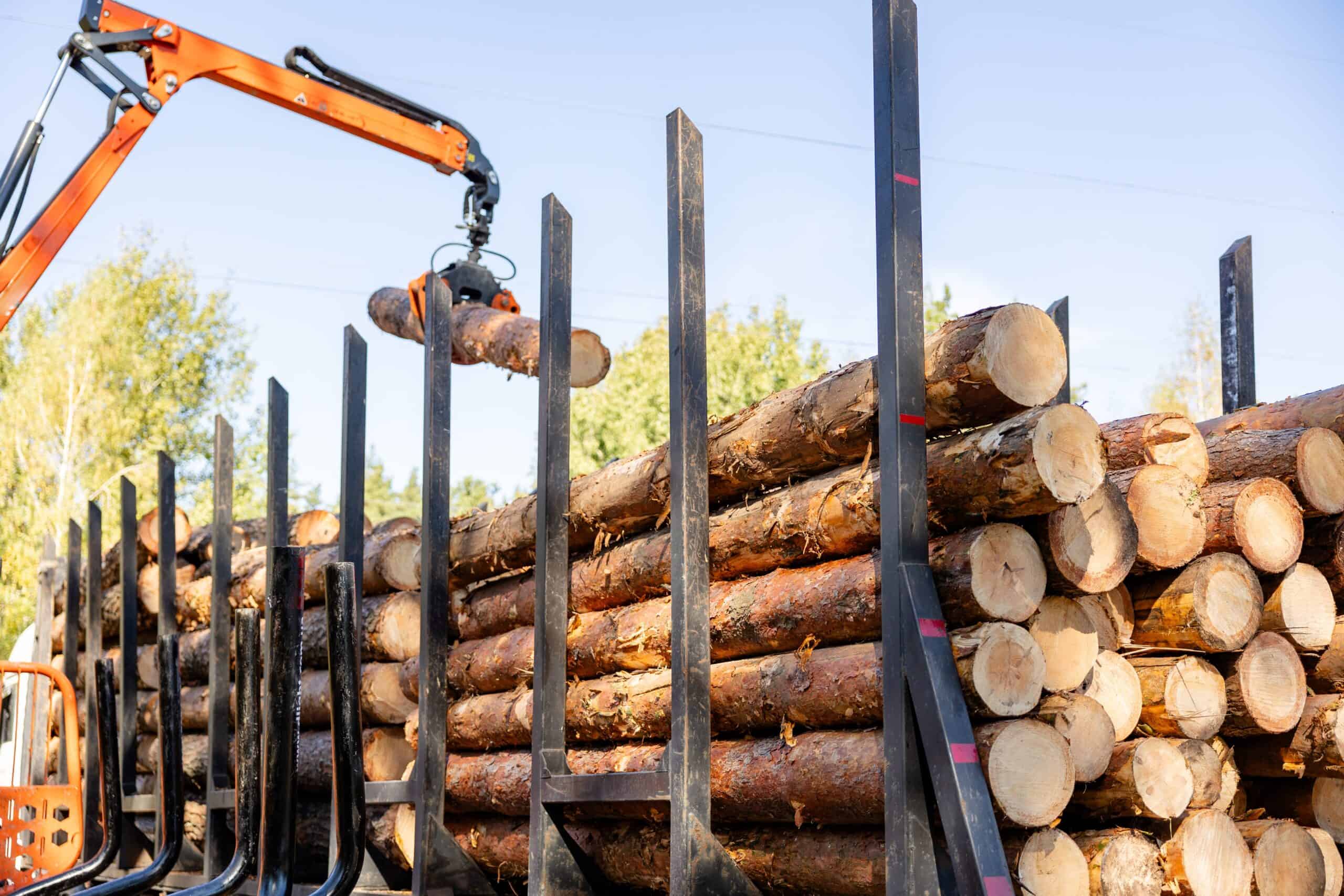 Lumber Specialty Insurance Tennessee