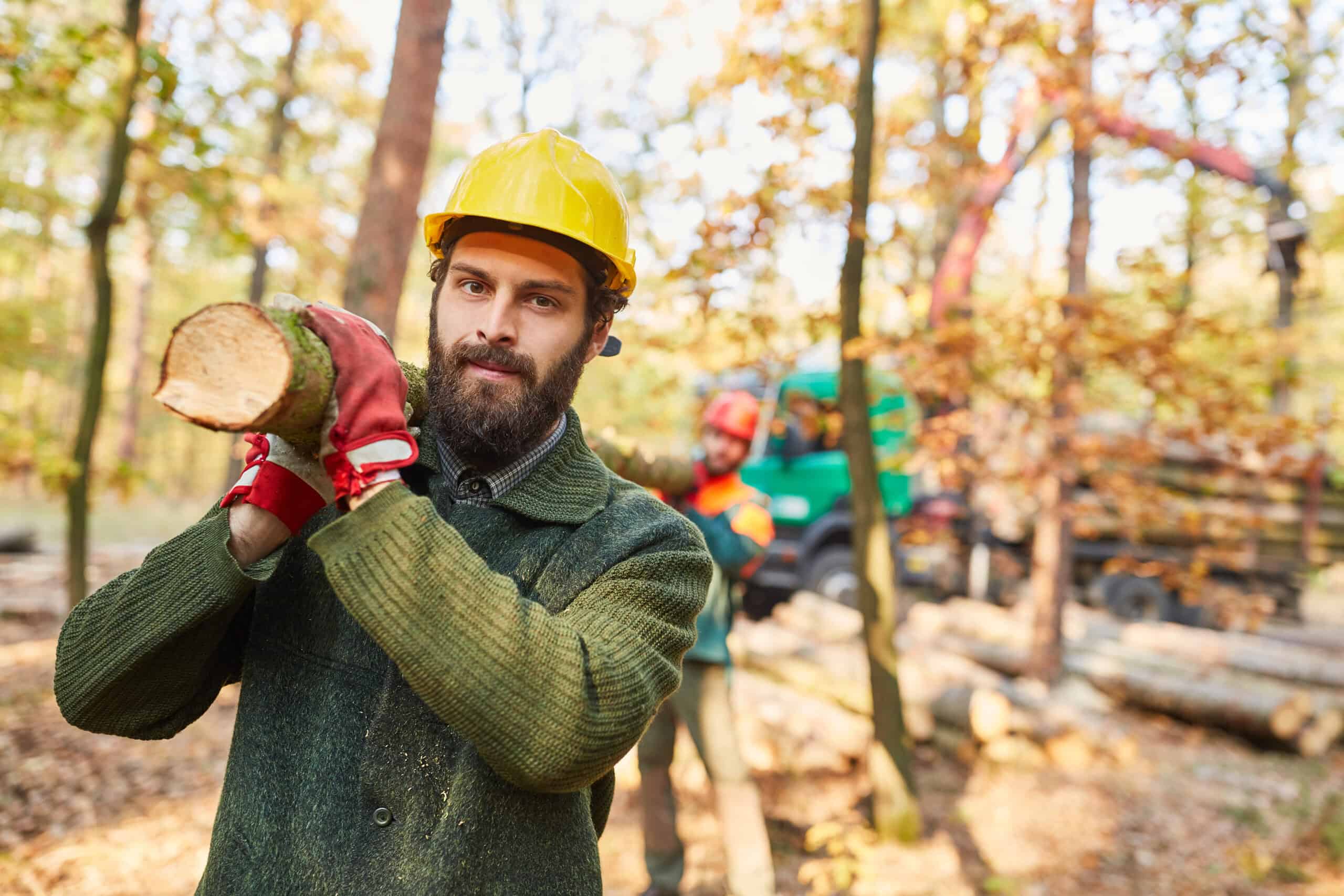 Lumber Specialty Insurance Tennessee
